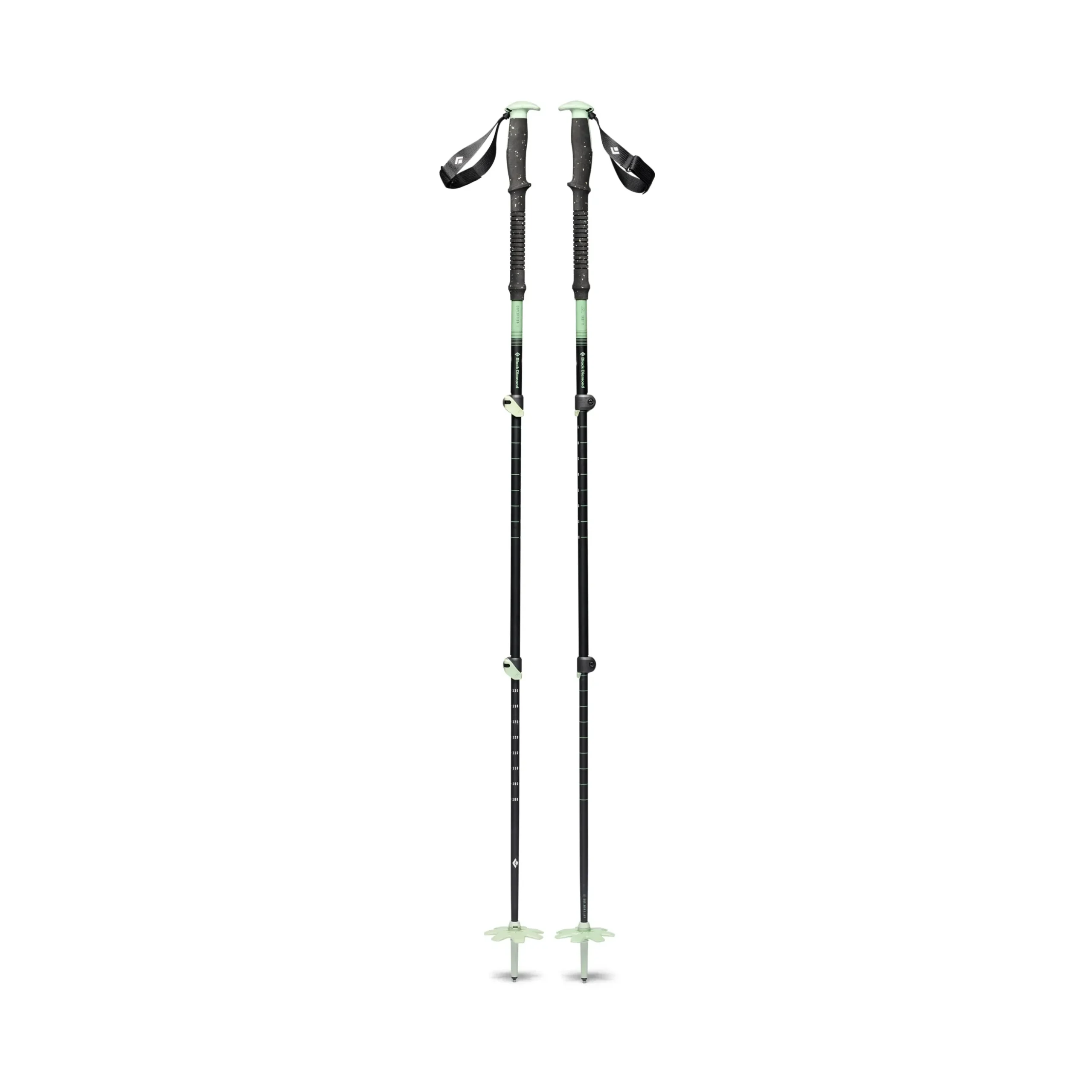 Expedition 3 Ski Poles
