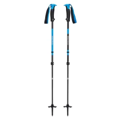 Razor Carbon Pro Ski Poles