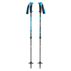 Razor Carbon Pro Ski Poles
