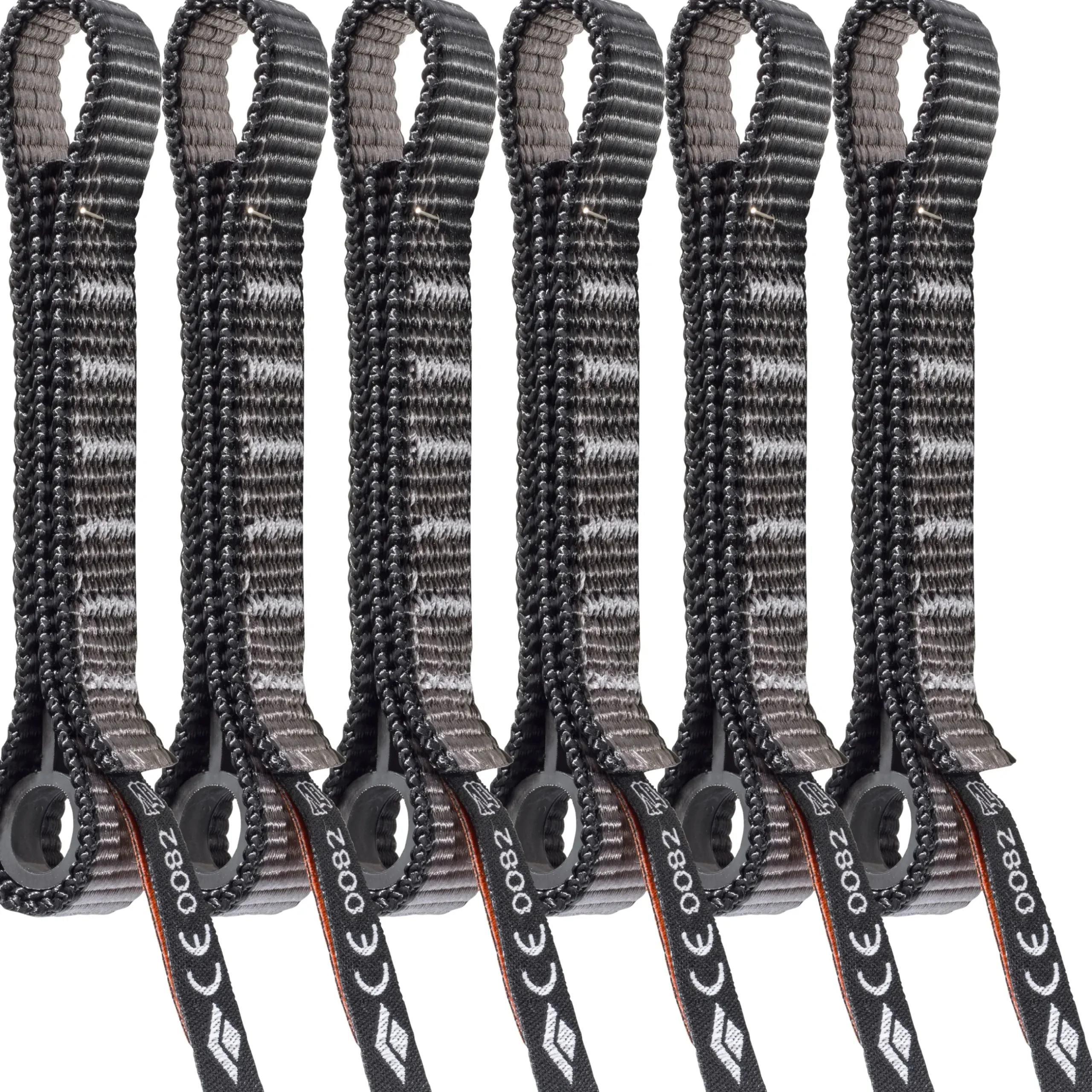 Standard Dogbone 12 cm 6 Pack